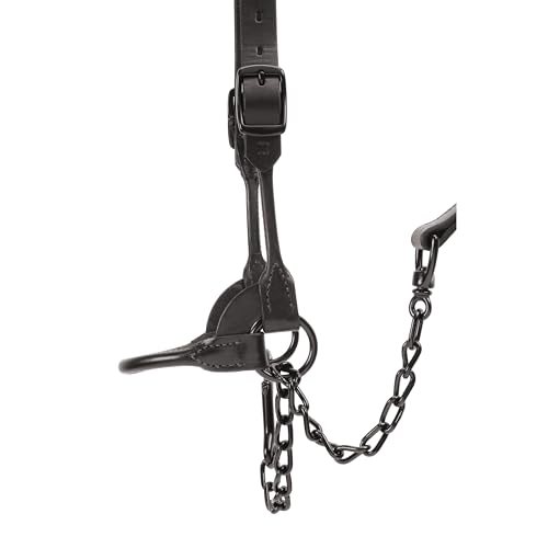 Weaver Livestock Leather Magic Show Cattle Halter, Adjustable, Modern Style Cow Calf Halter, Livestock Handling Equipment for Showing, Black