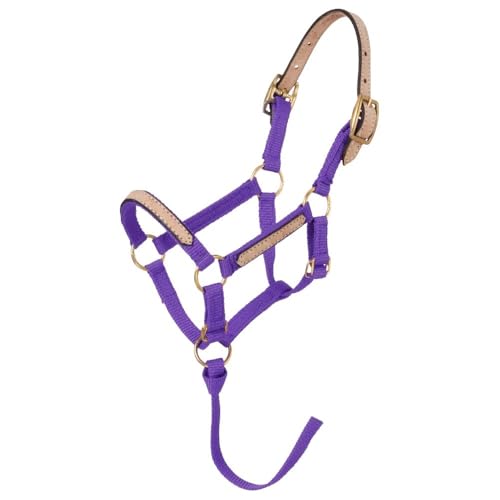 Tough1 Miniature Nylon Breakaway Halter - color: Purple, size: Small