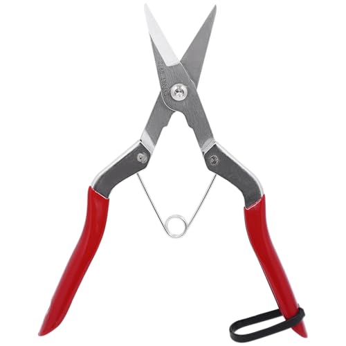 Zenport 210cm (8.25-inch) Fruit (Pomelo) Harvester/Thinning Shear w/Wishbone Spring, Package of 3