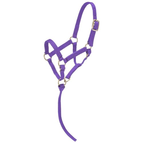 Tough1 Miniature Nylon Halter - color: Purple, size: Large
