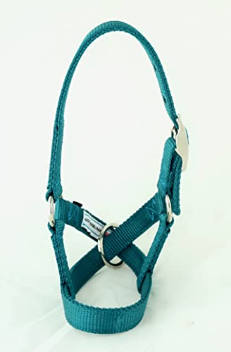 Goat Halter, S M L, XL, XL Buck, Made in USA, 23 Colors, Figure 8, Small, Medium, Large, Extra Large, Sheep Buck doe Kid Livestock (Royal Blue, X Large)