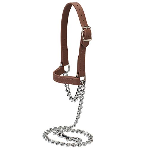 Weaver Livestock Brahma Webb Goat Halter, Medium, Brown - size: Medium