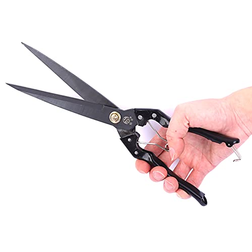 Grass Sheep Shear - Coated Wear-Resistant Handle, Manganese Steel Double-Edged, Strong Spring Suitable For Manual Shearing of Cow, Sheep, and Horse Hair (Black 12.6 inches) - color: Black 12.6 Inches