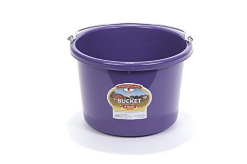 Little Giant® Plastic Animal Feed Bucket | Round Plastic Feed Bucket with Metal Handle | Made in USA | 8 Quarts | Purple - color: Purple