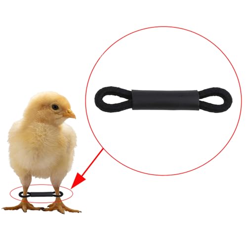 50/100Pcs Spreader Legs Chick Clip for Splayed Birds Hobble Bands Canaries Smaller Budgies Chicken Leg Brace for Spraddle Leg Repair - color: B