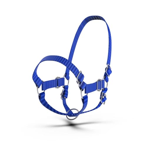 Adjustable Nylon Cow Halter | Calf Halter one Halter for (1 Year to Full Size) Easy Adjustable Straps elimates the Need of Ill-Fitting Cattle Halter - color: BLUE