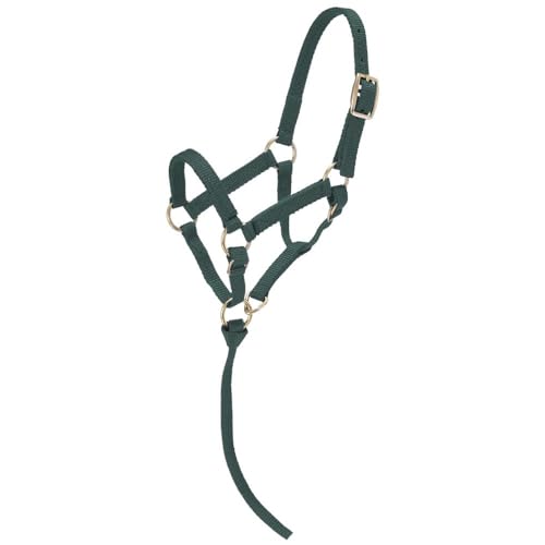 Tough1 Miniature Nylon Halter - color: Hunter Green, size: Large