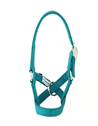 Alpaca Halter, S M L, Made in USA, Lead, Fence Tie, 24 Patterns, Figure 8, Small, Medium, Large, Livestock (Teal, Large)