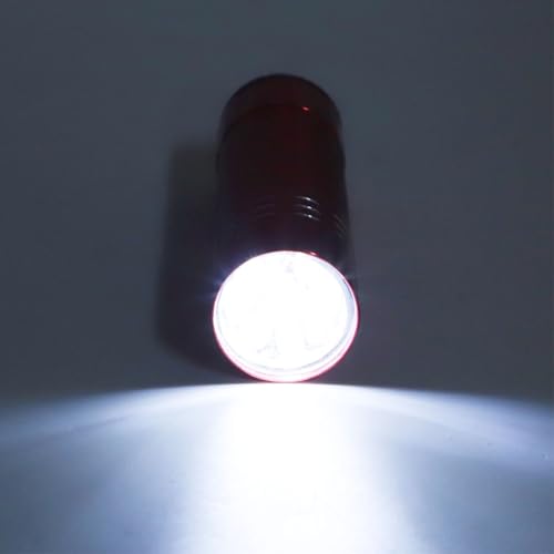 Egg Candler Tester, LED Cold Light Source for Monitoring Eggs Development with Even Soft Lighting, No Heat Damage, for Farmers Breeders Hatcheries