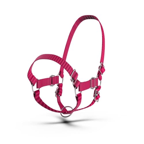 Adjustable Nylon Cow Halter | Calf Halter one Halter for (1 Year to Full Size) Easy Adjustable Straps elimates the Need of Ill-Fitting Cattle Halter - color: BLACK