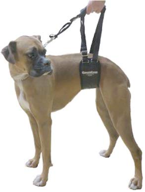 GINGERLEAD Dog Rear Sling Support Harness, SM Female, Machine Wash & Dry | Fits Small to Medium Size Dogs or Larger Barrel-Chested Breeds like Boxers, Bullies. Padded, Integrated Leash. Made in U.S.A. - size: Small - Female