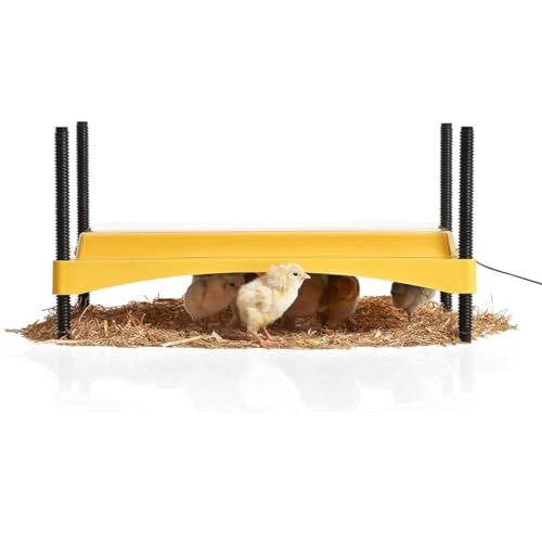 Brinsea Ecoglow Safety 1200 Chick or Duckling Brooder, Up to 35 Chicks | 50+ years of trusted care! Height-adjustable 18W Brooder Plate delivers safe low voltage heat for natural stress-free growth - size: Up to 35 newborn chicks or 20 older chicks