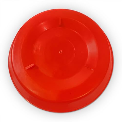 Plastic 1-Quart Chicken Waterer and Chick Drinker | Durable Watering Container for Chickens, Ducks, Ducklings, Chicks, Turkeys, Quail and More
