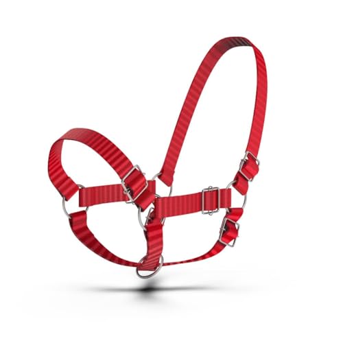 Adjustable Nylon Cow Halter | Calf Halter one Halter for (1 Year to Full Size) Easy Adjustable Straps elimates the Need of Ill-Fitting Cattle Halter - color: BLUE