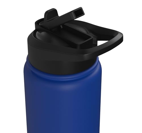 Dabbing Goat Funny Farm Animal Kids Retro Sunset Cool Stainless Steel Insulated Water Bottle - color: Royal Blue