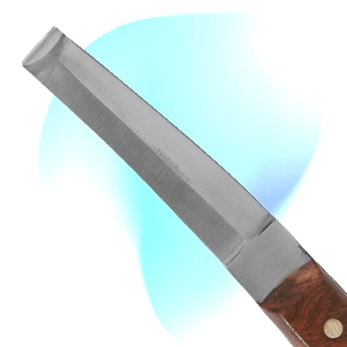 Hoof Knife Double Edged Curved Blade – Stainless Steel Curved Blade Farrier Tool with Wooden Handle, Multipurpose Hoof Trimming Knife for Livestock, 3-Inch Blade, 8.5-Inch Overall - style: Double Edge - RH