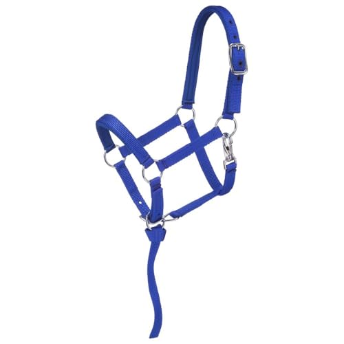 Tough 1 Nylon Padded Miniature Halter - color: Royal Blue, size: Medium