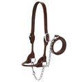 Weaver Leather Livestock Dairy/Beef Rounded Show Halter, Medium, Brown - color: Brown, size: Medium