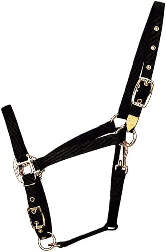 Hamilton Deluxe Adjustable Horse Halter, 800-1100 lbs, Black | Premium Quality 1" Triple Ply Nylon, Average/Arabian/Yearling Draft, Adjustable Chin Strap, Throat Snap, Solid Brass Hardware - color: Black, size: Average, 800-1100lbs