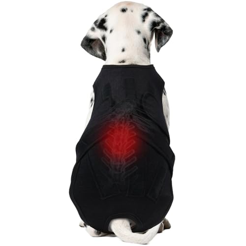 Dog Back Brace for IVDD Recovery, Adjustable Dog Spine Support Harness for Dachshund Corgi French Bulldog Pug, Pain Relief Back Protector for Senior,Post‑Surgery,Long‑Bodied & Overweight Dogs, M - size: Medium