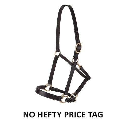 Dura-Tech Premier Lancaster Leather Halter for Horses | Simple Economy Leather Halter with Adjustable Fit & Solid Brass Hardware - size: Full Size