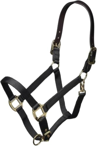 ARMA Shires Nylon Halter with Leather Head Strap - color: Black, size: Cob