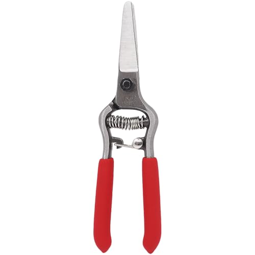 Zenport Z270 6” Forged Straight Blade Needle Nose Shear, 1.5 Inch Blades, Red - 3 Pack - style: 3