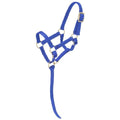 Tough1 Miniature Nylon Halter - color: Royal Blue, size: Medium