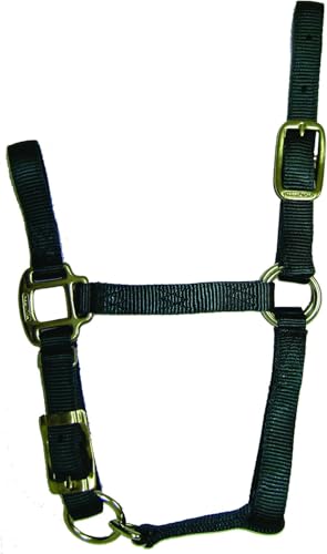 Hamilton Quality Adjustable Horse Halter, 100-200 lbs, Dark Green | Premium Quality 3/4" Triple Ply Nylon, Pony/Mini Donkey, Adjustable Chin Strap, Rolled Throat, Brass Plated Hardware - color: Dark Green, size: Pony, 100-200lbs