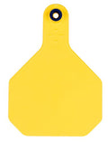 Ear Tags Yellow Large Blank 25/Pk