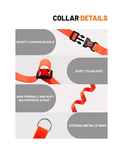 Waterproof Martingale Collar for Dogs,Easy to Clean Dog Collars with Safety Quick Release Buckle,Rubber Collar for Medium Large Dogs Walking Training (Orange, M (16.5-20.8inch)) - color: Orange, size: M (16.5-20.8inch)