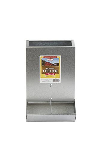 Little Giant® 2-Hole Baby Pig Feeder | Piglet Feeder Trough | Mountable Feeder for Baby Pigs