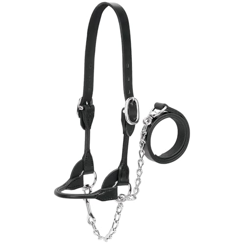 Weaver Leather Dairy/Beef Rounded Show Halter, Black, Medium - color: Black, size: Medium