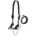 Weaver Leather Dairy/Beef Rounded Show Halter, Black, Medium - color: Black, size: Medium