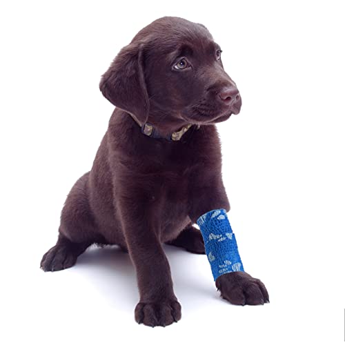 Pet Vet Wrap for Dogs Cohesive Bandages First Aid Tape Self Adhesive Bandage Wrap for Horse Cat Wound Care Self Adherent Elastic Bandage Sports Tapes 6 Rolls 2 inch