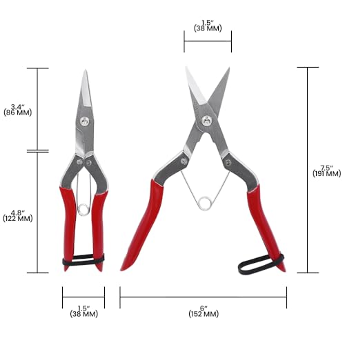 Zenport 210cm (8.25-inch) Fruit (Pomelo) Harvester/Thinning Shear w/Wishbone Spring, Package of 3