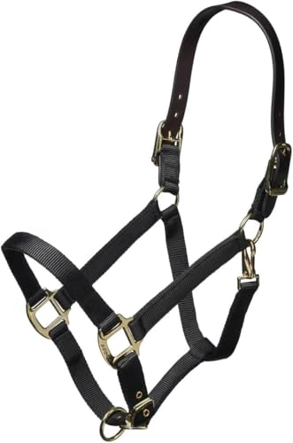 ARMA Shires Nylon Halter with Leather Head Strap - color: Black, size: Cob