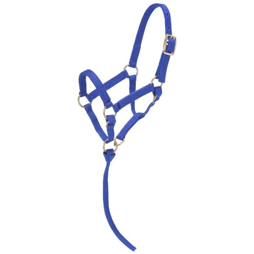 Tough1 Miniature Nylon Halter - color: Royal Blue, size: Large