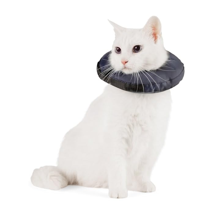 Well & Good by Petco Soft-Filled Recovery Kitten Collar 3X-Small