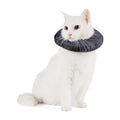 Well & Good by Petco Soft-Filled Recovery Kitten Collar 3X-Small