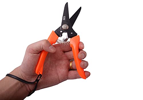LONG RIVER Hoof Trimming Shears (2 pcs) - Goat Hoof Trimmer Foot Rot Trimmer for Goats Sheep Pig, Floral Trimming Shears for Garden
