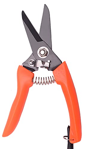 LONG RIVER Hoof Trimming Shears (2 pcs) - Goat Hoof Trimmer Foot Rot Trimmer for Goats Sheep Pig, Floral Trimming Shears for Garden