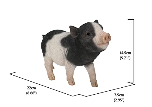 Hi-Line Gift Baby Pig Standing - Black and White