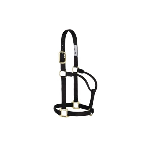 Weaver Leather Original Non-Adjustable Nylon Horse Halter, Black, Yearling