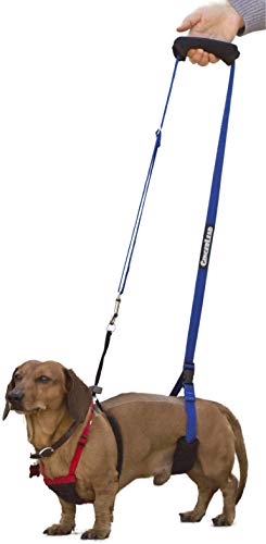 GINGERLEAD Dog Back Support IVDD Sling Harness, X-Small & Dachshunds | Fits Pets Under 25 lbs and Doxies, Walking Aid for K9s with Disc Disease, Fully Adjustable, Chest Harness NOT Included - size: X-Small - Male