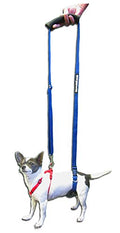 GINGERLEAD Dog Back Support IVDD Sling Harness, X-Small & Dachshunds | Fits Pets Under 25 lbs and Doxies, Walking Aid for K9s with Disc Disease, Fully Adjustable, Chest Harness NOT Included - size: X-Small - Male