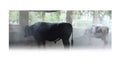 MR Rainbow Mister Livestock & Chicken Evaporative Cooling Mist and Fly Relief System