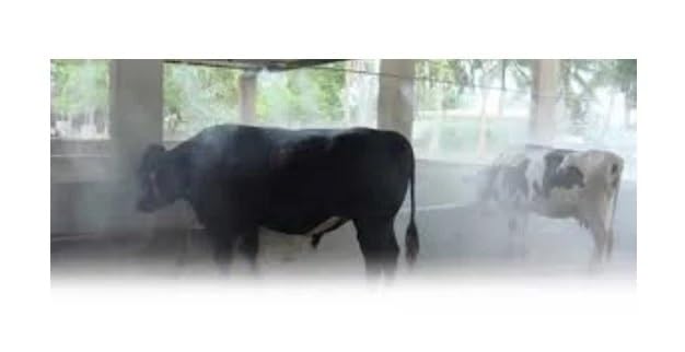 MR Rainbow Mister Livestock & Chicken Evaporative Cooling Mist and Fly Relief System