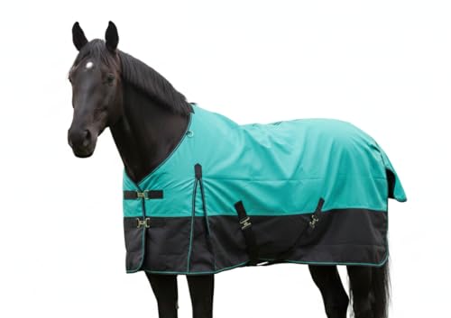 1200D Waterproof Medium Weight Poly (250g Fill) Horse Winter Turnout Blanket with Standard Neck AT010002TQ-66 - color: TURQUOISE, size: 66"