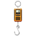 UNIWEIGH Digital Hanging Scale,Mini Crane Scale 300kg/660lb with Hold&Tare | Postal Luggage Scale with LCD Display,Portable Handheld and Large Hook,Deer Scale for Garage Farms Hunting Fish Travel Hays